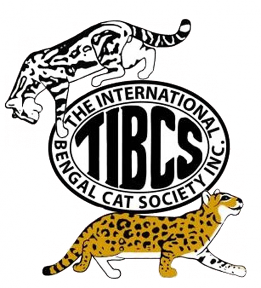 TIBCS Logo