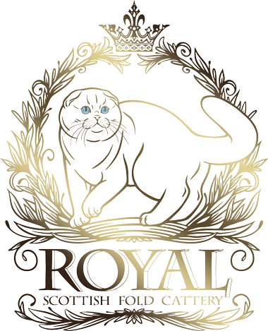 Maine Coone Breeders